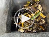 香蕉樹脫水視頻